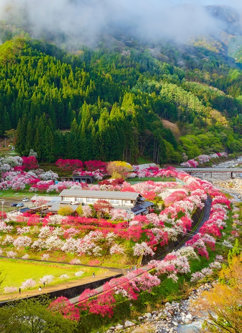 Sekitaitei Ishida｜Hirugami Onsen